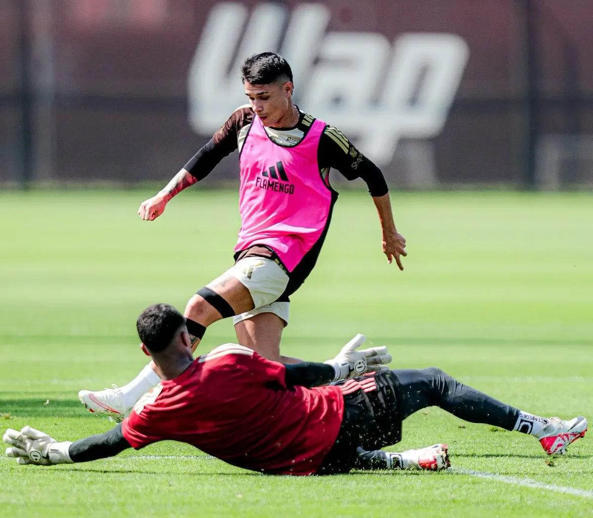 Mirassol x Flamengo: veja prováveis escalações e onde assistir ao duelo pelo Brasileirão