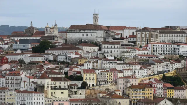 Baixa de Coimbra: Mudanças causam quebra de clientes no mercado municipal
