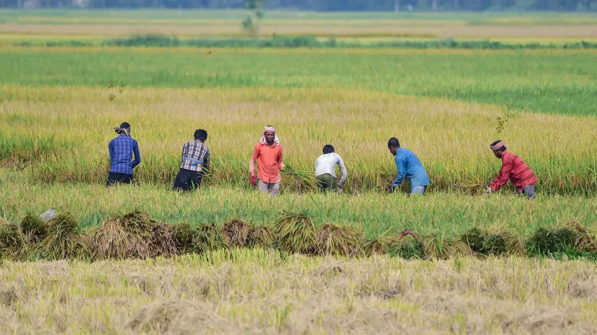 August rainfall fails to reduce India's monsoon deficit