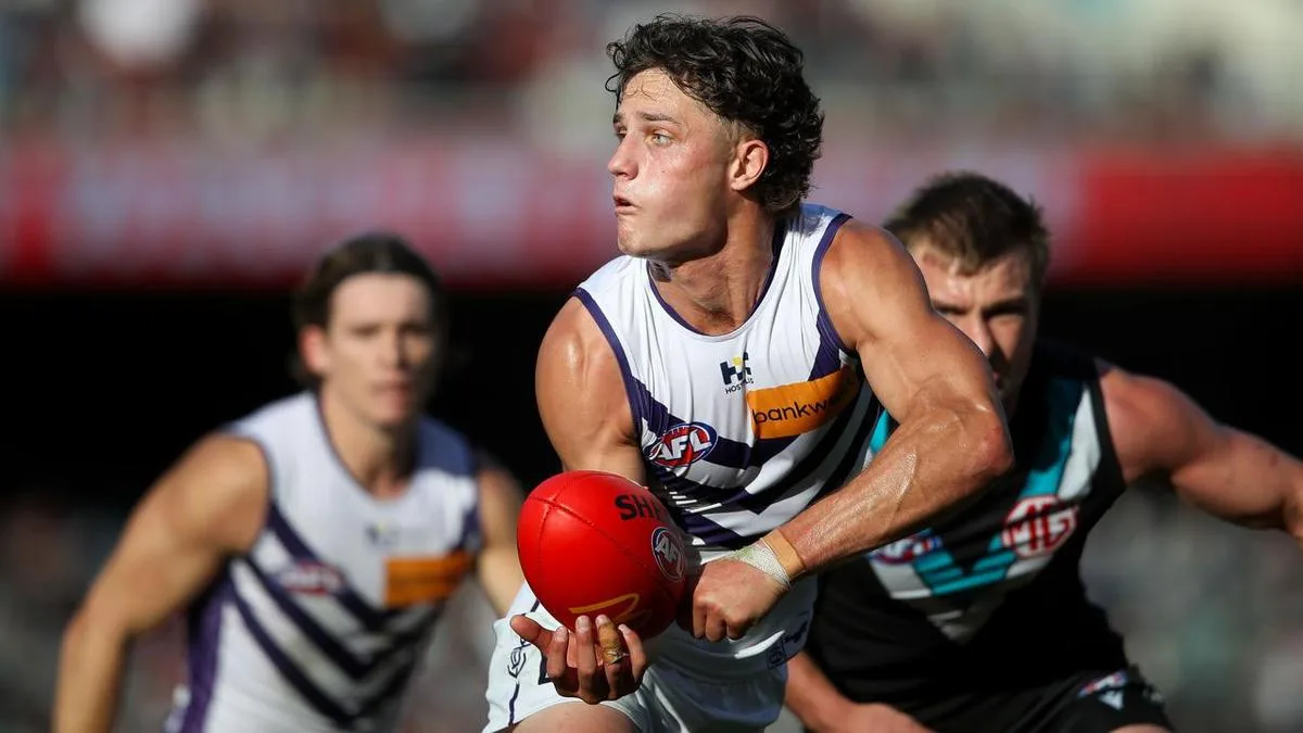 Why Docker Erasmus knocked back Eagles and Dogs
