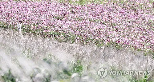 대구·경북 대체로 맑고 일교차 커…낮 최고 27도