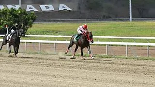 Estos son los retirados de la reunión N° 37 en el hipódromo La Rinconada para el domingo 20-9-2026
