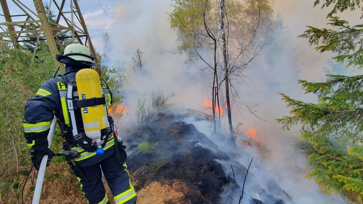Feuer wird größer: Waldbrand ausgebreitet – Gelände macht das Löschen schwer