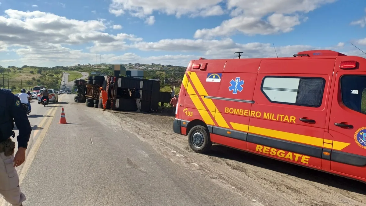 Caminhão com cerca de 40 bois tomba na BR-104, em Caruaru, e deixa animais mortos e feridos