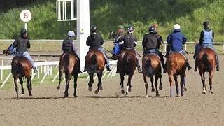 La Rinconada: sancionados cuatro jinetes por el Reglamento Nacional de Carreras