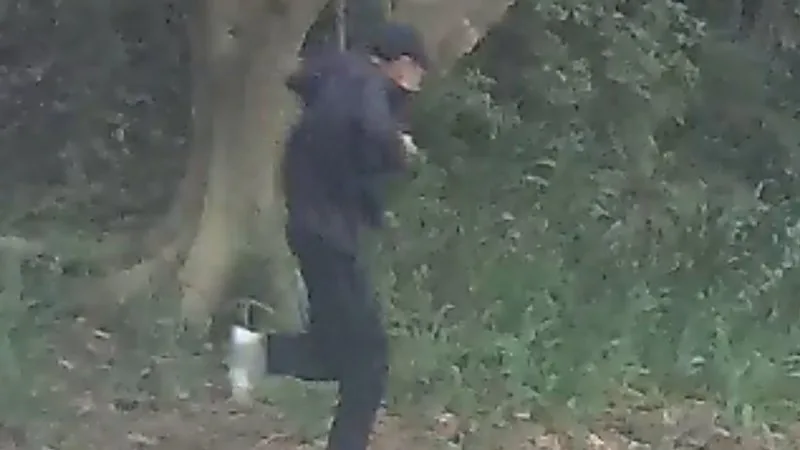 Man allegedly armed with sawn-off shotgun in Dulwich Hill charged