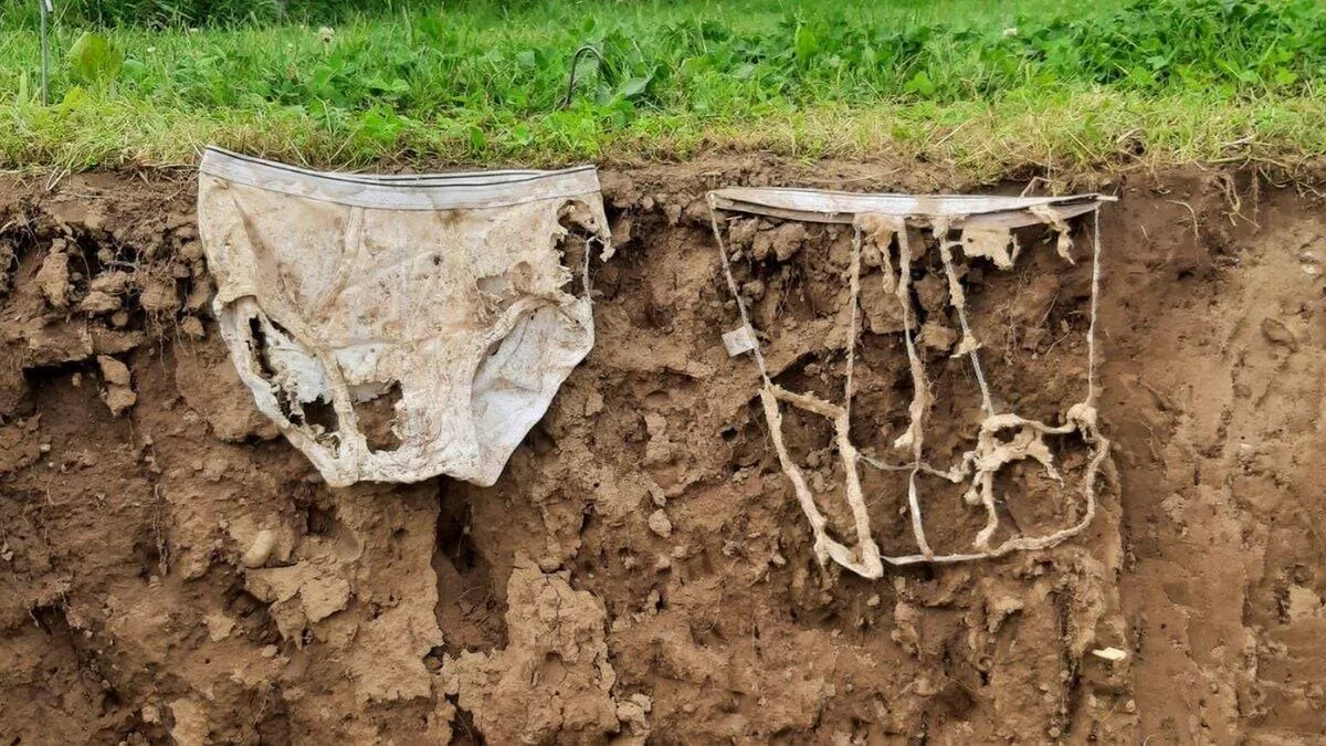 Suiza entierra 2.000 calzoncillos en el campo y lo que encuentra 2 meses después evidencia algo alarmante