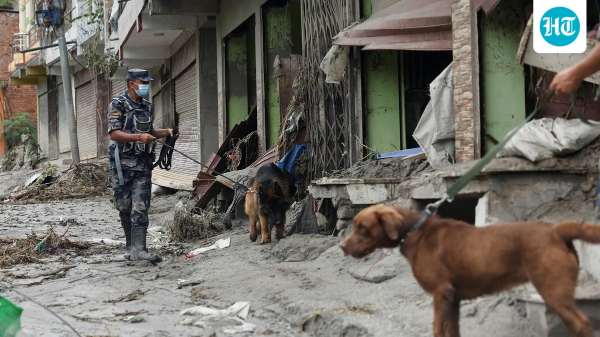 Transit hub at centre of search for hundreds of missing foreigners in Nepal floods