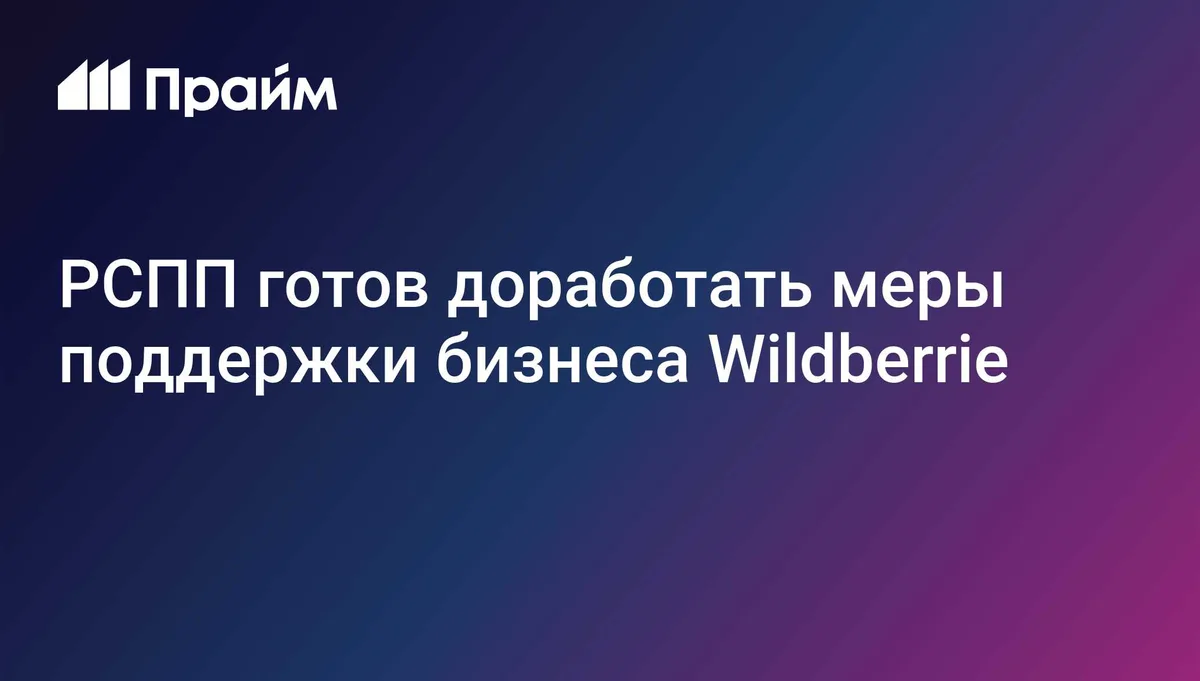 РСПП готов доработать меры поддержки бизнеса Wildberrie