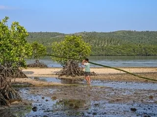 COP17 sur la biodiversité : pays participants, frictions, progrès… Tout comprendre aux enjeux de ce nouveau sommet