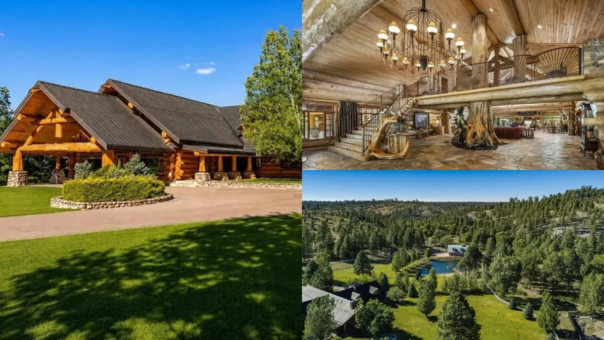 SkyMall founder's Arizona ranch has 1,250-year-old tree and $9.475m price tag