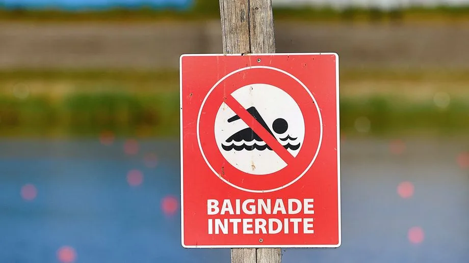 Baignade interdite : que sait-on des cyanobactéries, qui se développent dans nos plans d'eau quand il fait chaud ?