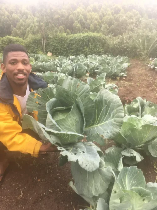 SA farmers and households urged to prepare for El Niño heat and water stress