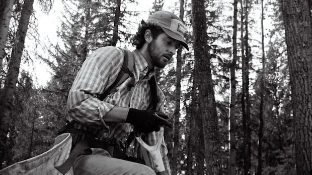 Tree planting started as a summer job, but it also taught me what it means to be Canadian