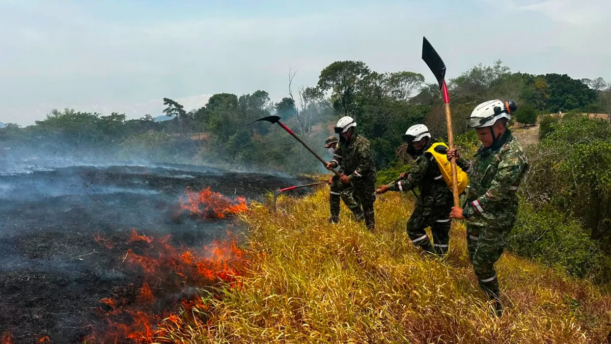 Las Fuerzas Militares desplegaron 260 uniformados para contener los incendios forestales en ocho departamentos de Colombia