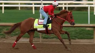 ¡Ajuste final! Este fue el tiempo de The Puma en su briseo para el Travers Stakes (G1)