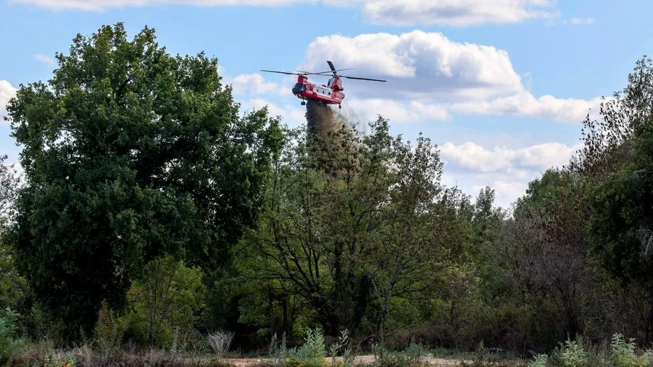 Feux de forêt : trois départements du Sud classés en rouge ce lundi pour un risque "très élevé", cinq en orange
