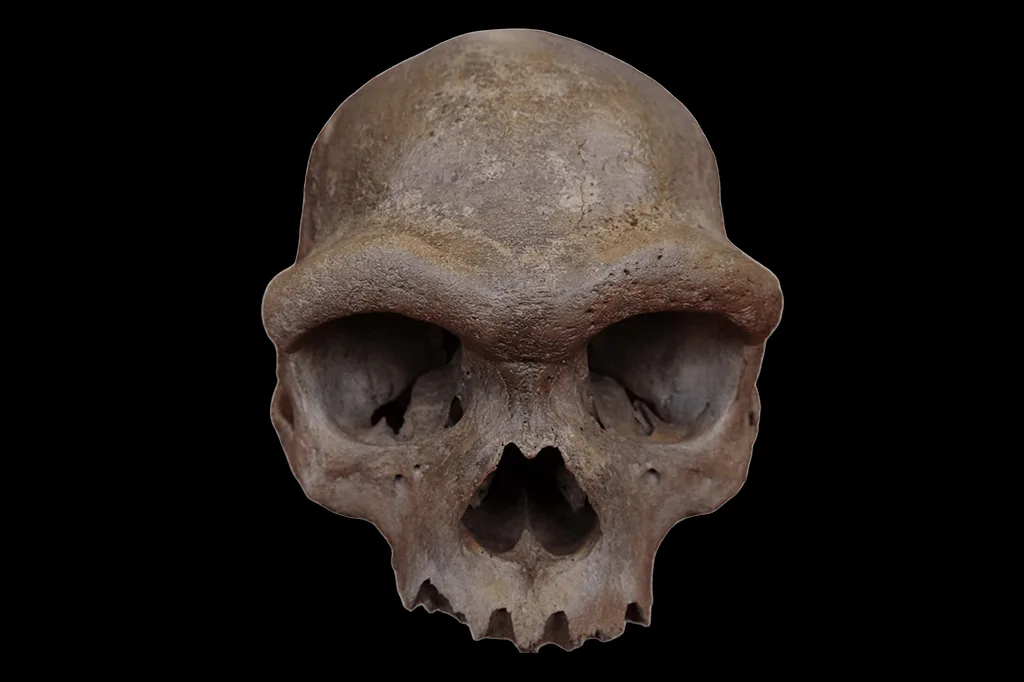 Denisovanos, primos extintos dos sapiens, eram muito altos, revelam novos fósseis