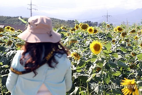 전북 가끔 구름 많고 낮 최고 25∼29도
