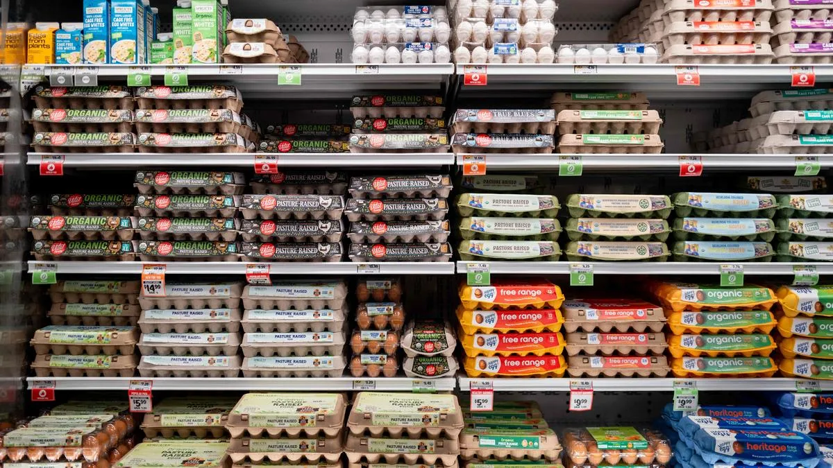 On the fight against big food and big tech