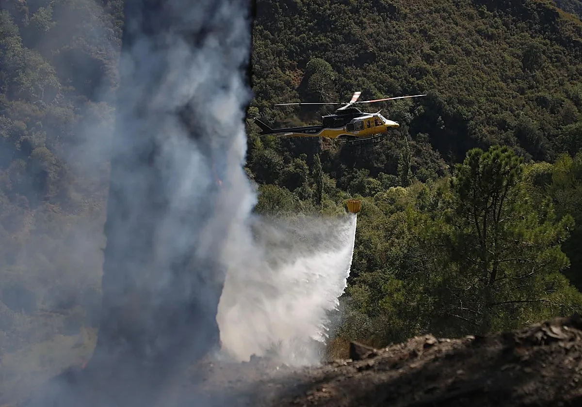 Un incendio forestal quema más de 20 hectáreas en Calvos de Randín (Orense)