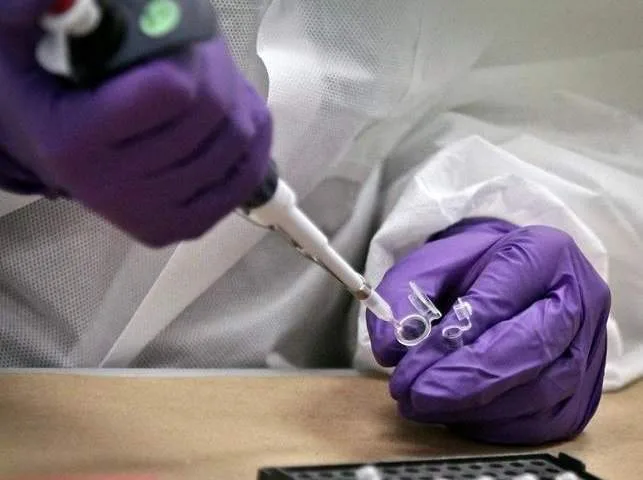 DNA technology helps identify New Brunswick woman decades after death
