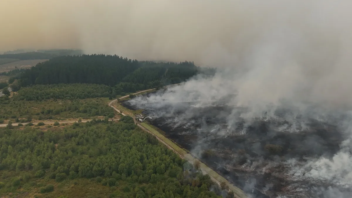 Bélgica se enfrenta a un incendio sin precedentes mientras los fuegos forestales no dan tregua en Europa